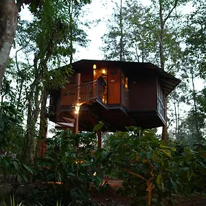Pugmarks Jungle *** Chegat