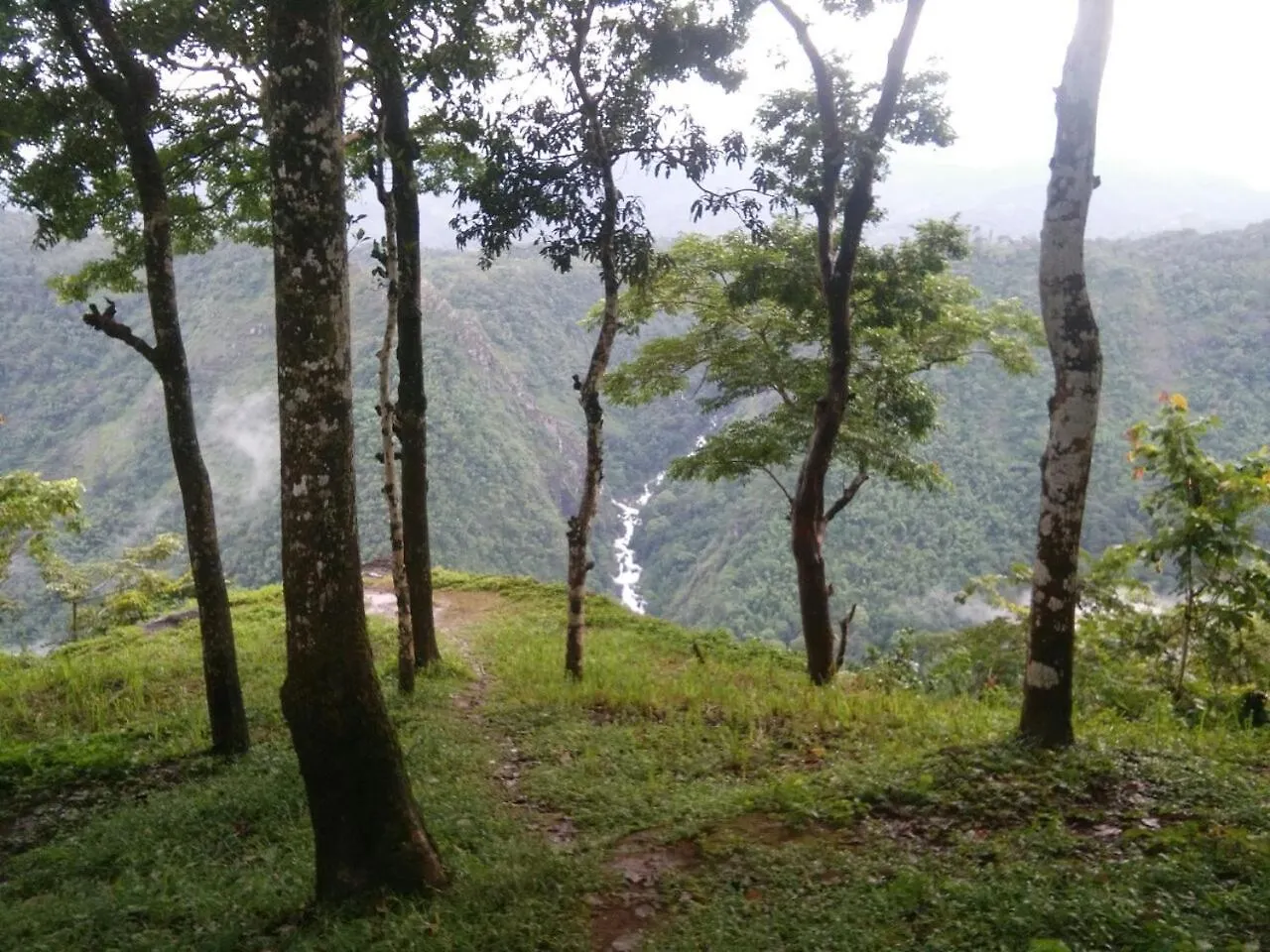 ***  Rippon Mount Resorts Kalpetta India