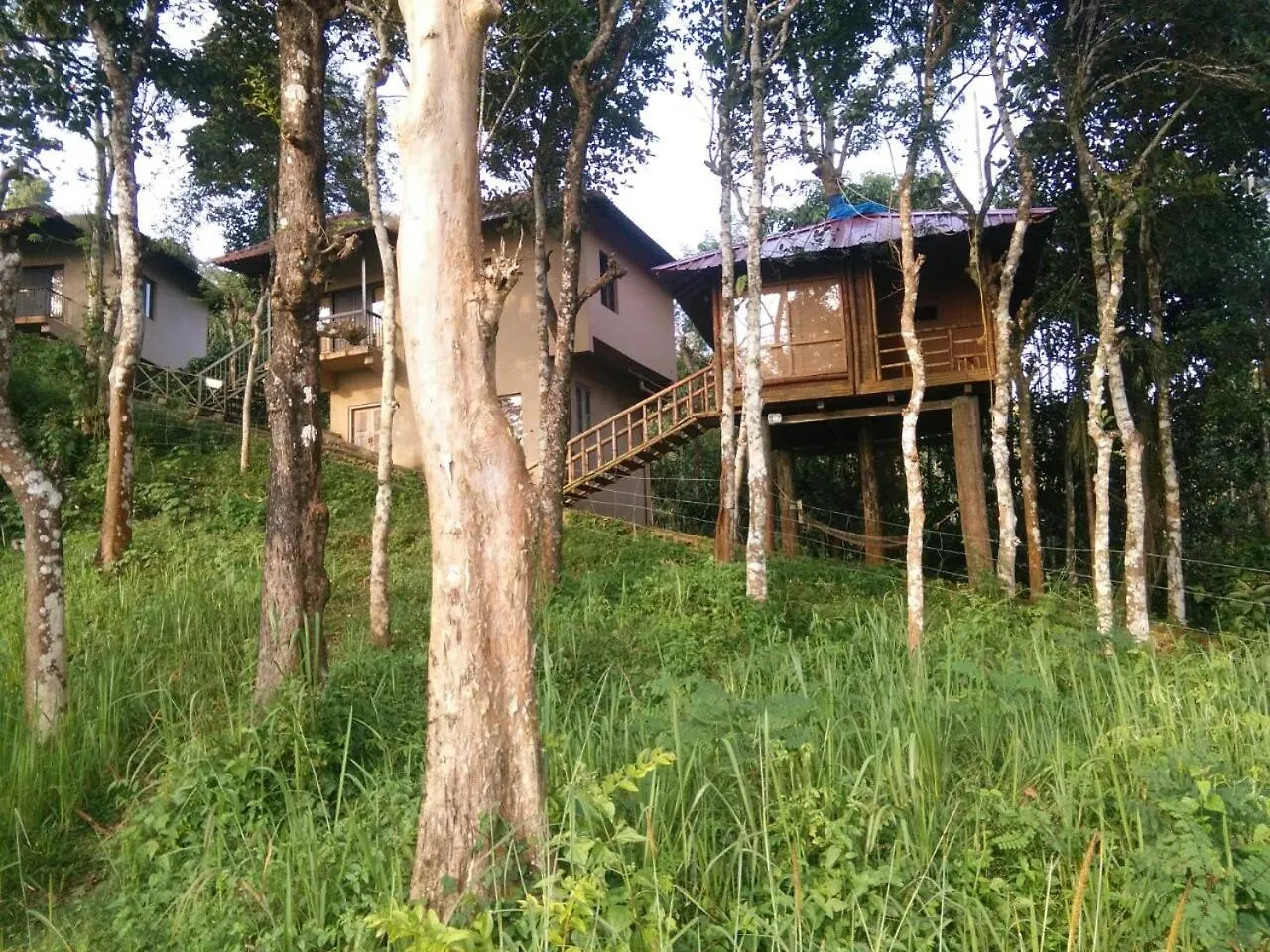 Rippon Mount Resorts Kalpetta 3*,