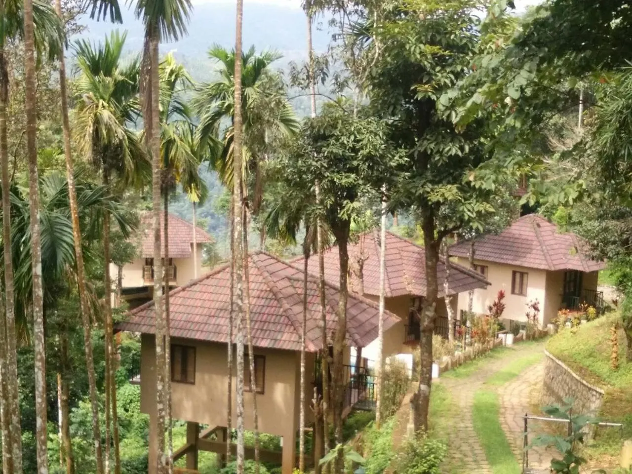 Rippon Mount Resorts Kalpetta